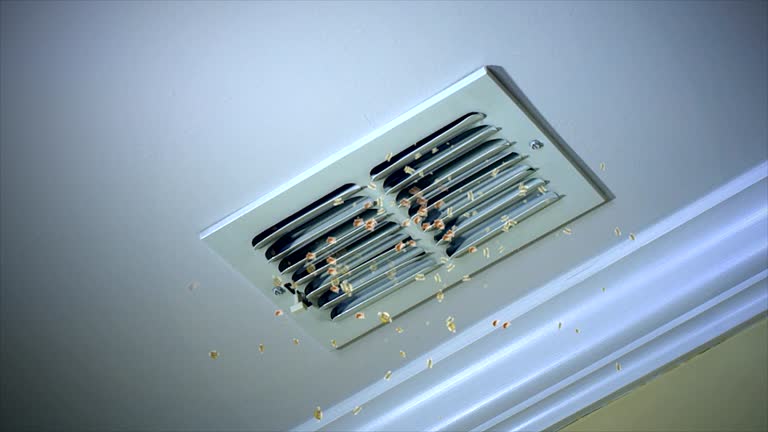 Best Professional Duct Cleaning Services  in Butler, AL