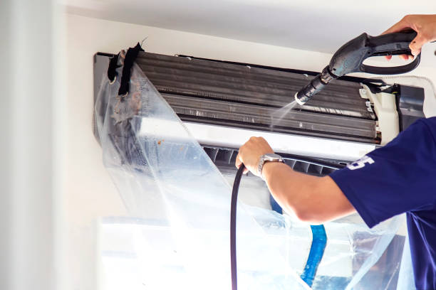 Best Air Duct Mold Removal  in Butler, AL