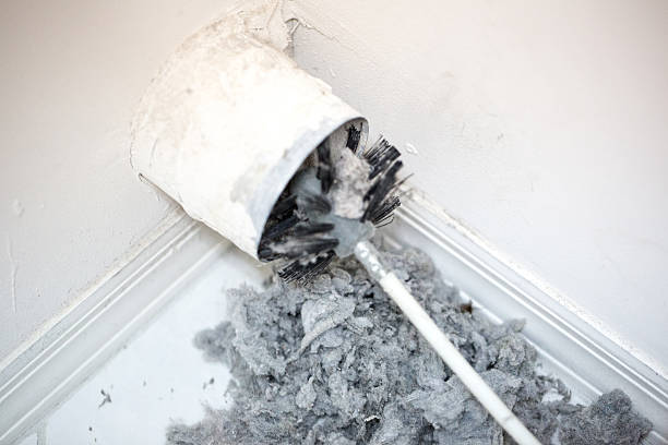Best Local Air Duct Cleaning Services  in Butler, AL